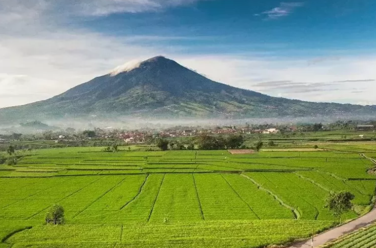 Sejarah Garut