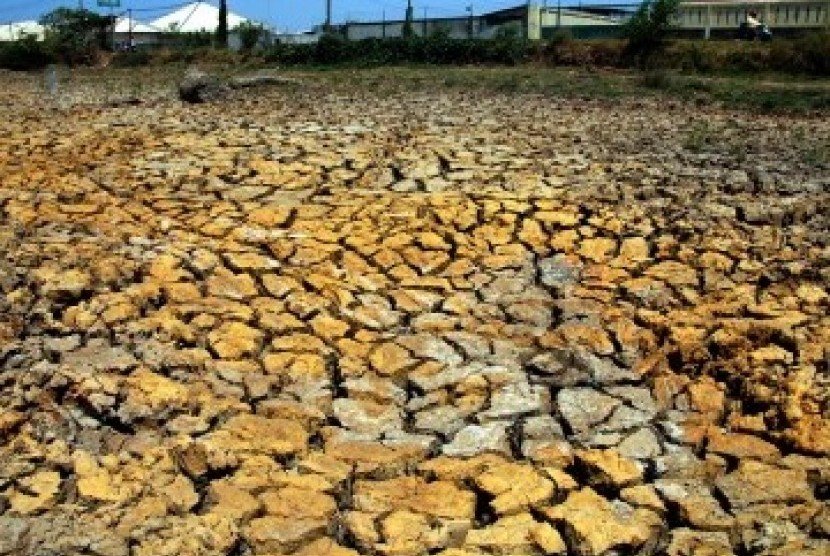 Bencana Kekeringan dan Kebakaran Hutan