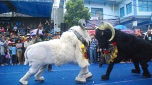 Mengenal Seni Raja Dogar: Pertunjukan Tradisional Unik dari Garut