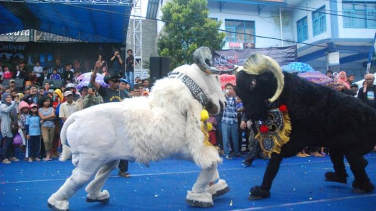 Mengenal Seni Raja Dogar: Pertunjukan Tradisional Unik dari Garut