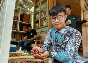 Gen Z Garut yang Cuan dari Bertani Kopi