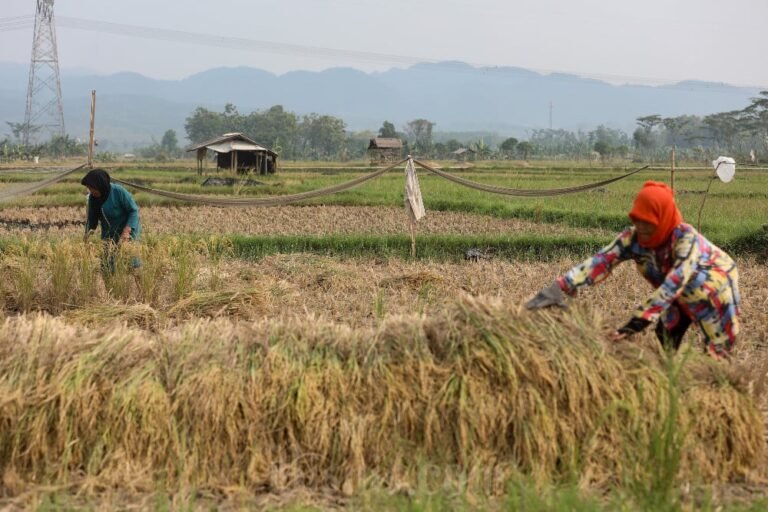 DLH Garut Siapkan Strategi Mitigasi