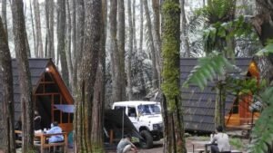 Kolong Langit Coffee Camp
