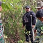 Macan Tutul Jawa Mati Terjerat Kawat di Cisompet Garut