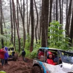 Hutan Gunung Cikuray Rusak Diduga Gegara Offroad