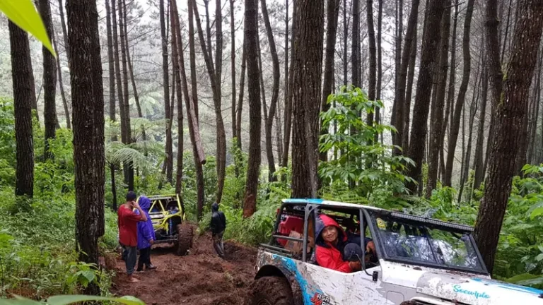 Hutan Gunung Cikuray Rusak Diduga Gegara Offroad