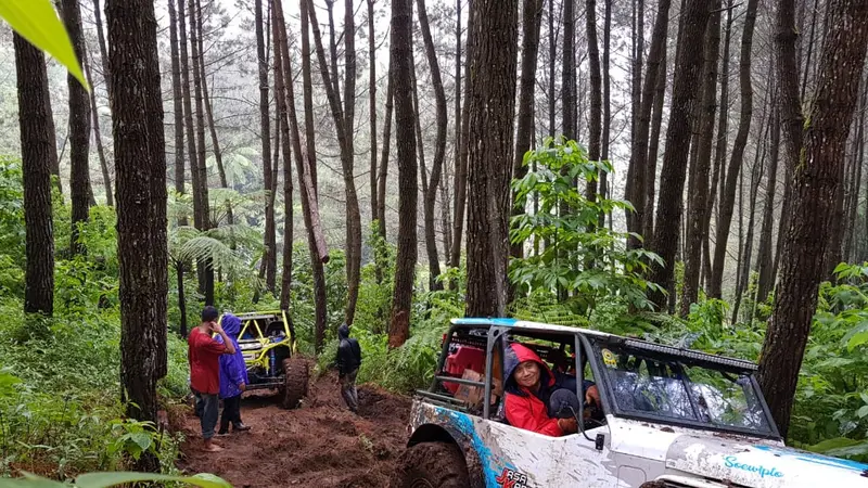 Hutan Gunung Cikuray Rusak Diduga Gegara Offroad