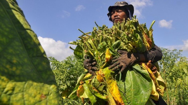 BLT Hasil Cukai Tembakau Disalurkan Lagi di Garut untuk 2025